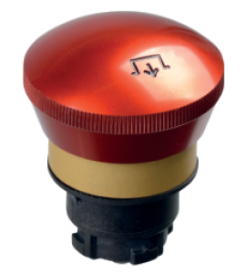 PHO_PRO_CAT_kedrrf12_SALL_AIN_V2