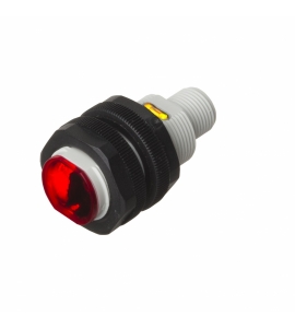 PA18CAR65PAM1SA_12x12