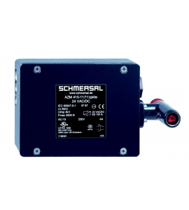 PHO_PRO_CAT_kazm4f19_SALL_AINL_V2