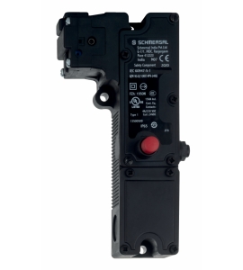 PHO_PRO_CAT_kazm1f77_SALL_AINL_V1